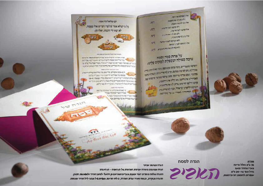 אביב